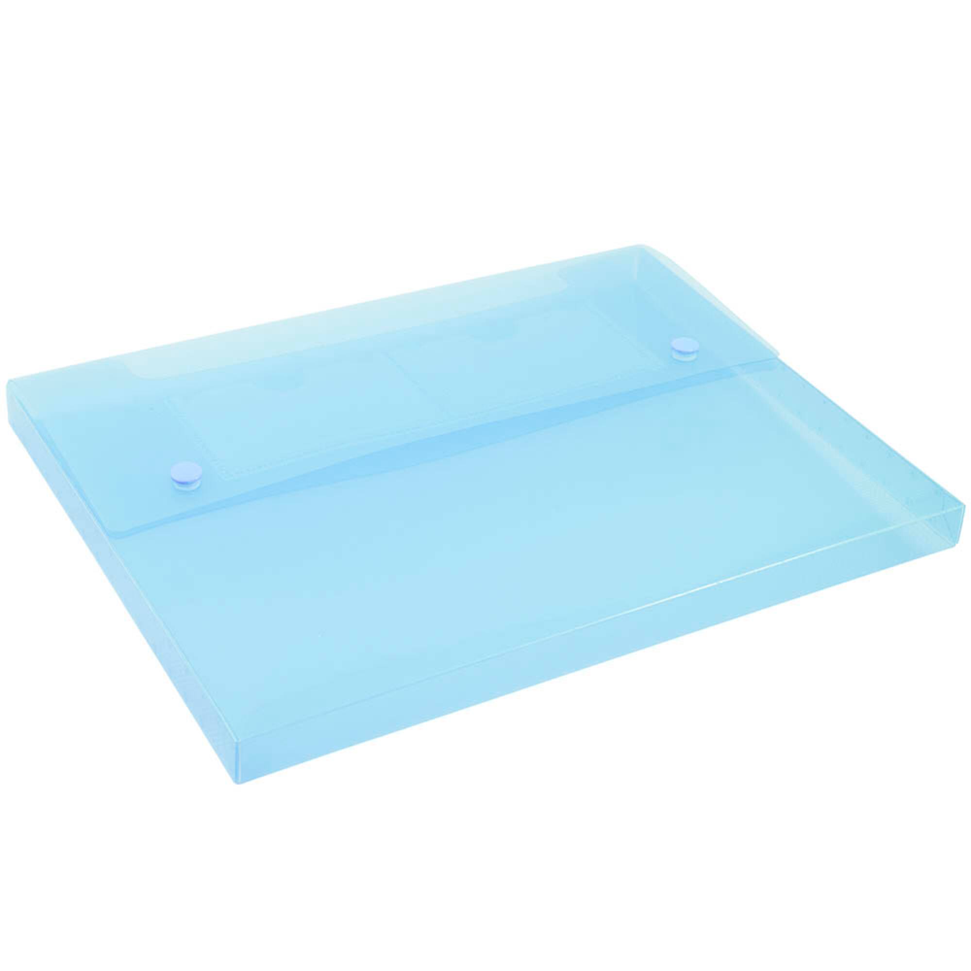 JAM Paper 9.5" x 12.5" Plastic Portfolio with Two Button Snap Closure